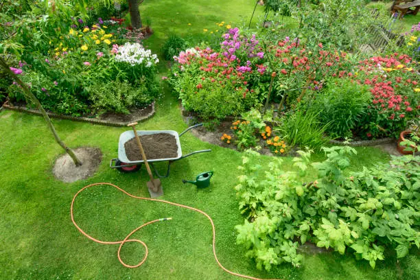 Simple Handy Tips To Reduce Water Consumption in Your Home and Garden