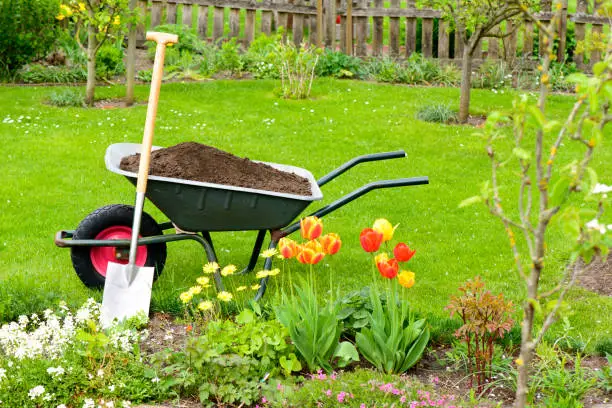 The Ultimate Guide To Fertilizing Your Lawn —Everything You Need To Know!