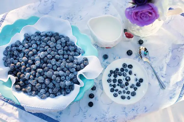 When Are Blueberries In Season?