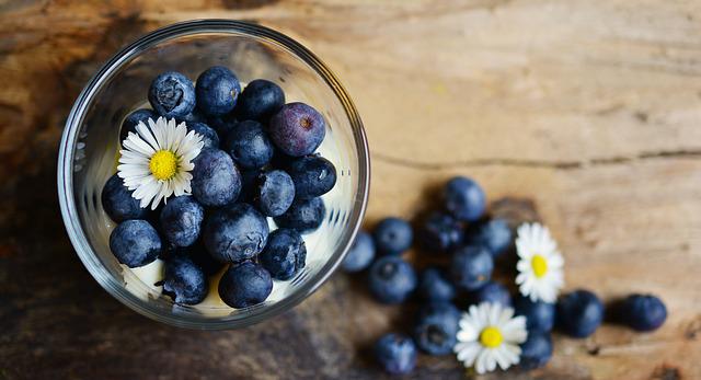 When To Plant Blueberries?
