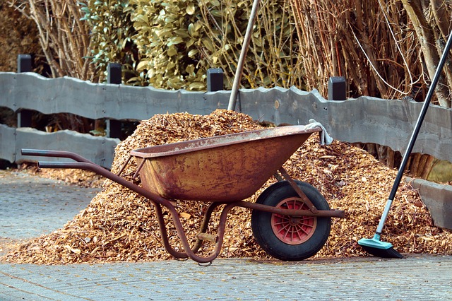 Benefits of Mulching Your Lawn and Garden – Reasons Why You Should!