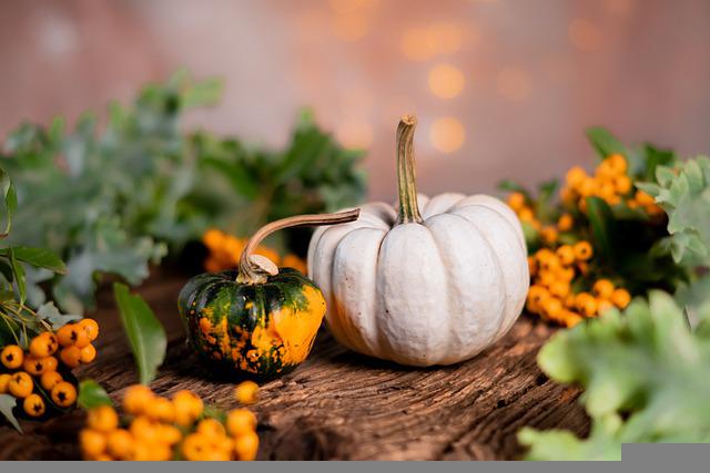 Do Raccoons Eat Pumpkins? Ways To Stop Them From Eating Your Pumpkins