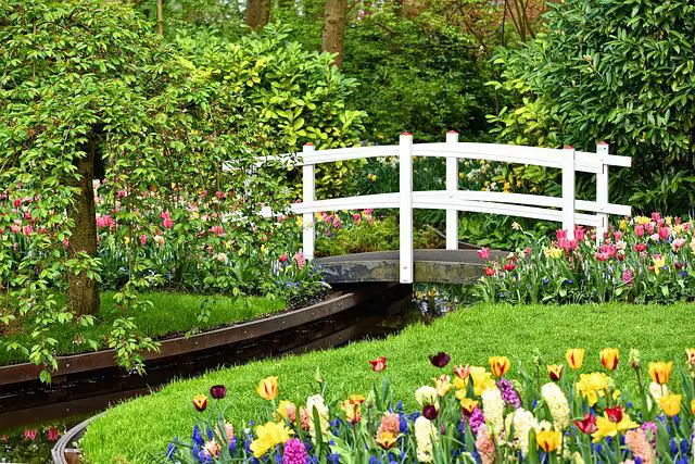Garden Design Tips — A Simple Guide for Beginners!