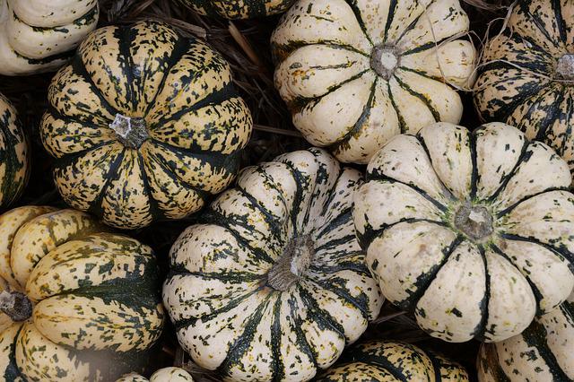 Do Pumpkins Like Coffee Grounds?