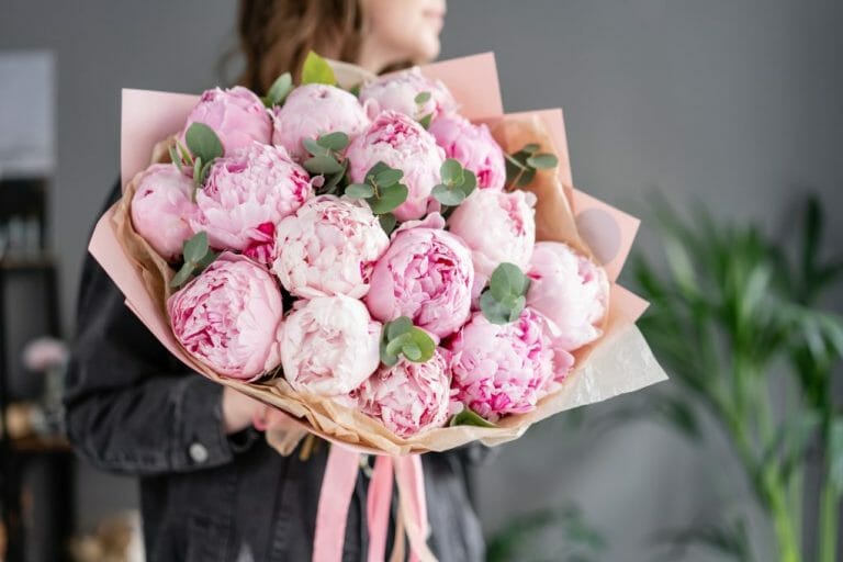 Where Are Peony Flowers From? Know Its Symbolic Meaning in Different Cultures