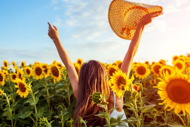 When Does Sunflower Bloom? A Guide To The Bloom Period