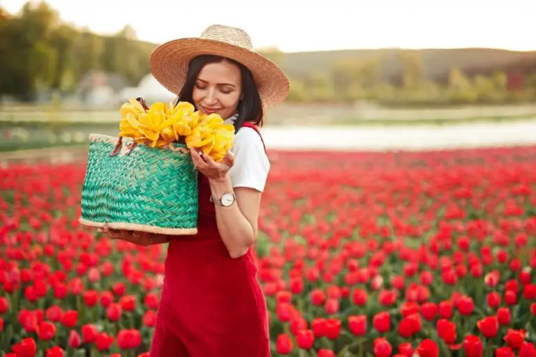 Are Tulips Toxic To Humans? | What Part of Tulip is Poisonous?