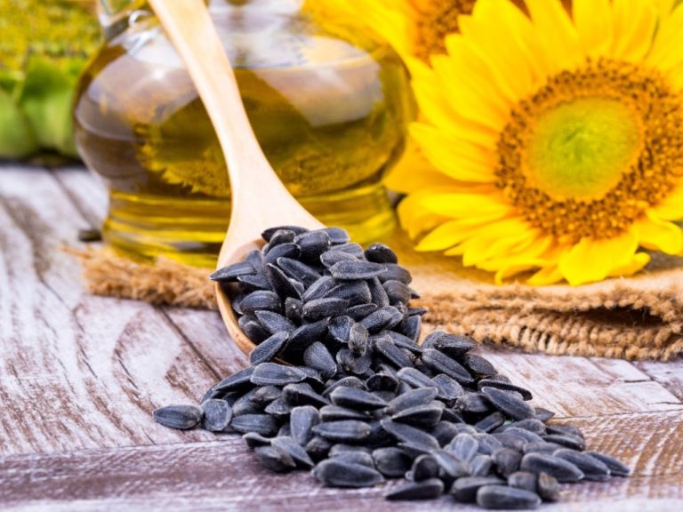 Are Sunflowers Good for You: Health Benefits and Risks Explained