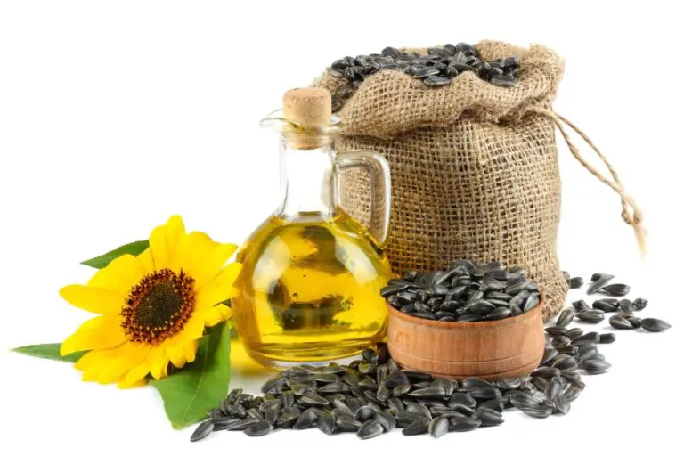 Are Sunflower Leaves Edible: Tips to Add Sunflower to Your Diet