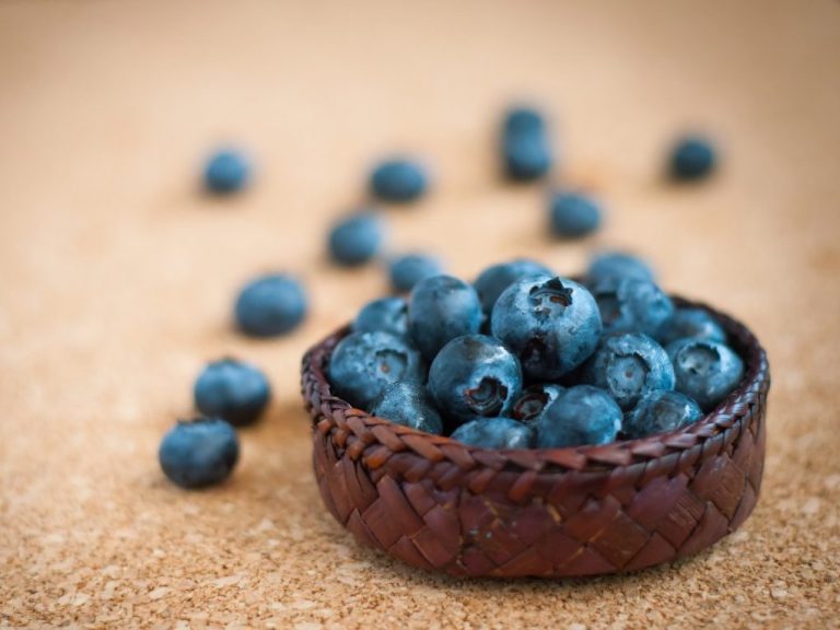 Blueberries vs. Huckleberries: Which Berry Comes Out on Top?