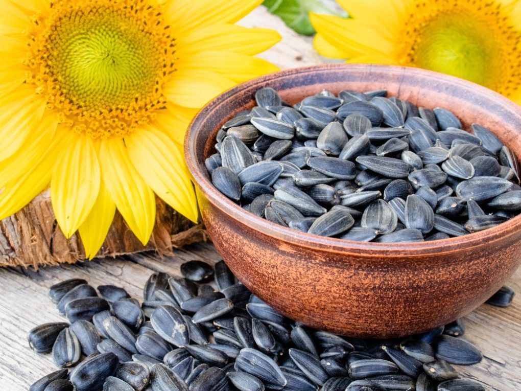 Are Sunflower Seeds Considered Nuts: The Differences and Health ...