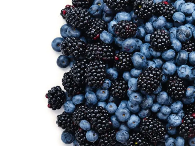 Blueberries vs. Blackberries: A Comprehensive Comparison