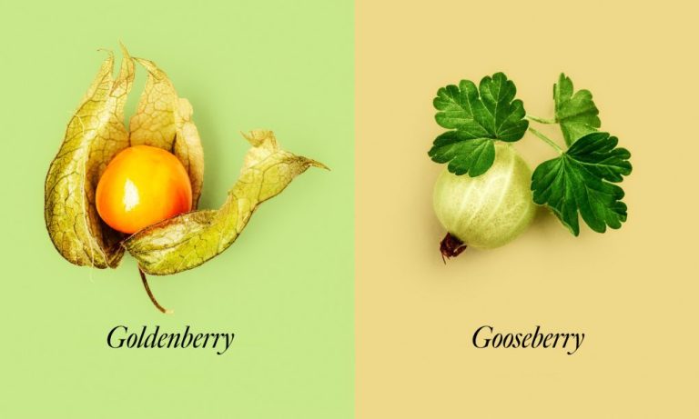 Gooseberry vs. Goldenberry: A Comprehensive Comparison of These Fruits