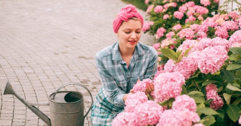 Hydrangea Spacing for Optimal Development: Border Beauties