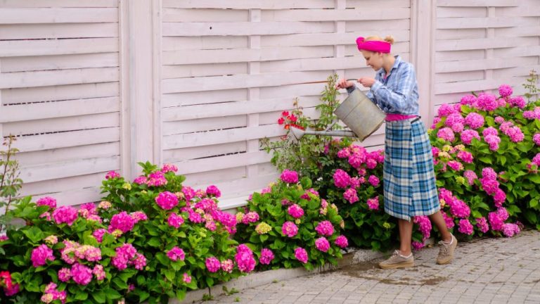 Do Hydrangeas Require a Lot of Water?