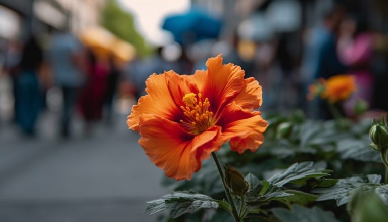 Are Gerbera Daisies Deer Resistant? A Comprehensive Guide