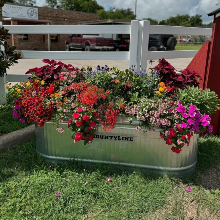 23 Budget-Friendly Container Garden Ideas for Instant Curb Appeal