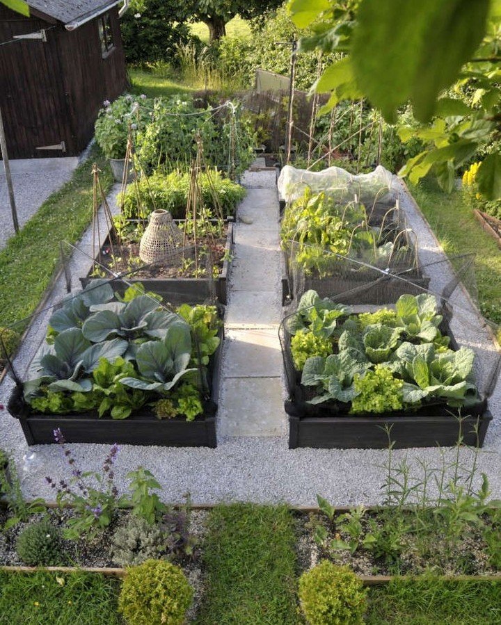 17 Inspiring Vegetable Garden Ideas for Every Home