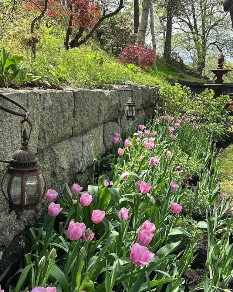 20 Wildflower Garden Ideas That Feel Effortlessly Natural