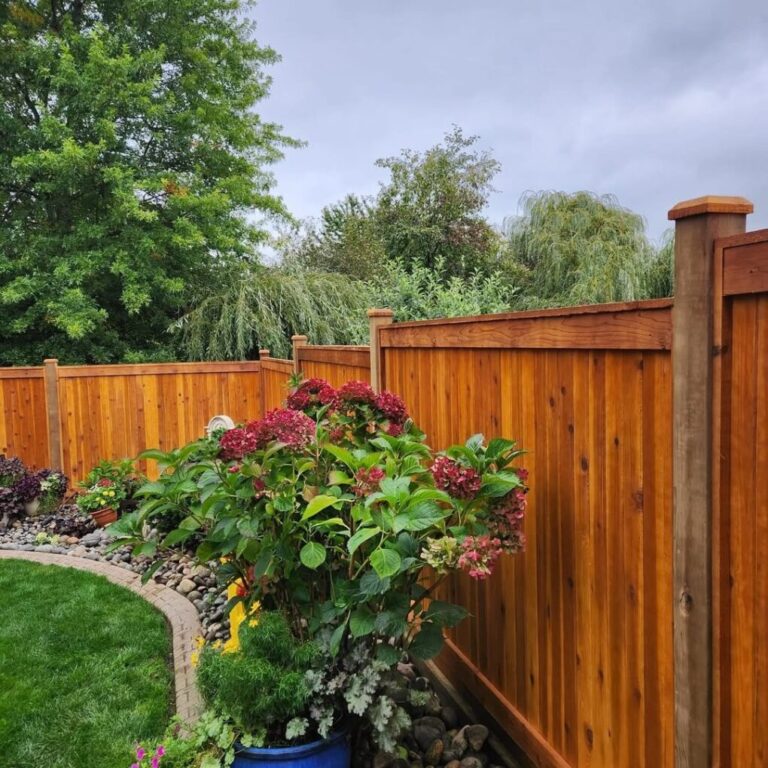 21 Back Garden Fence Inspirations for a Fresh Outdoor Look
