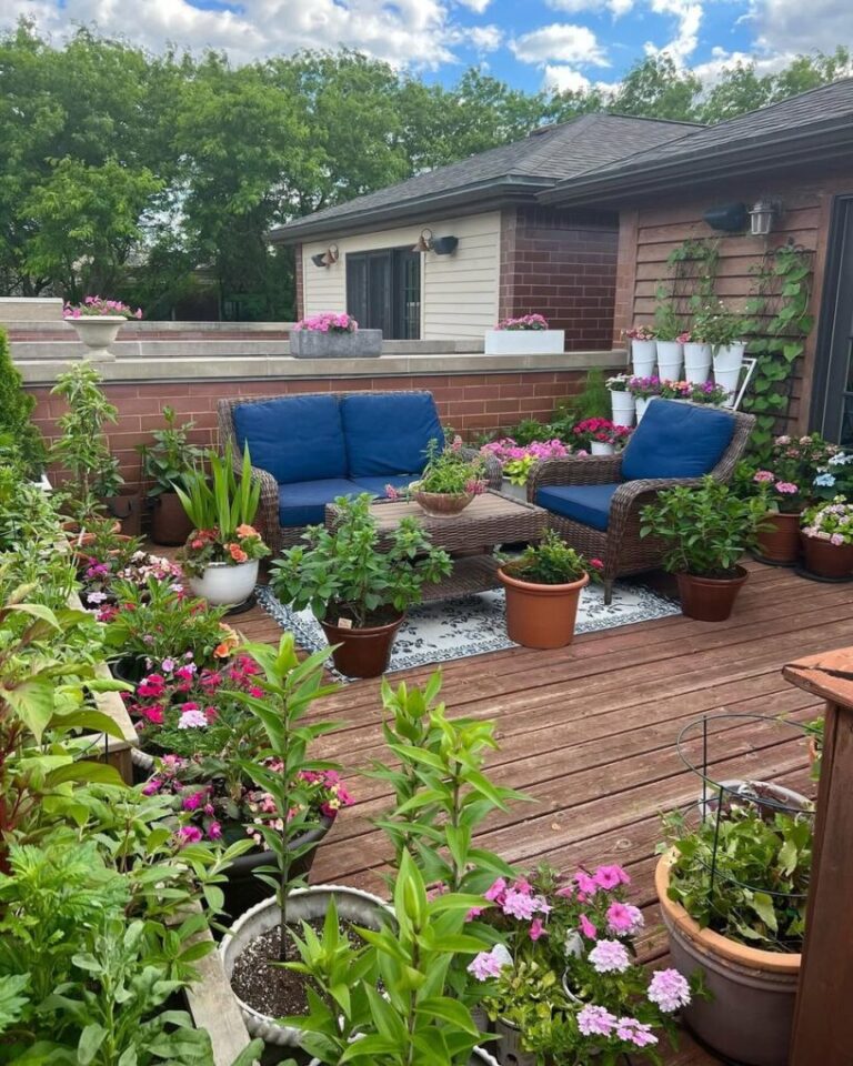 20 Dreamy Rooftop Garden Concept: Greens in the Sky
