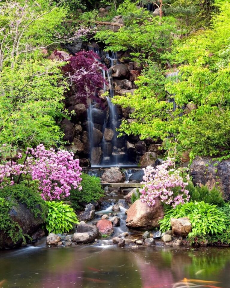 20 Oriental Garden Inspirations for a Serene Space: Nature’s Harmony