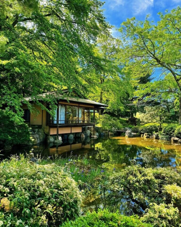 21 Serene Japanese Garden Inspirations: Whispers of Nature