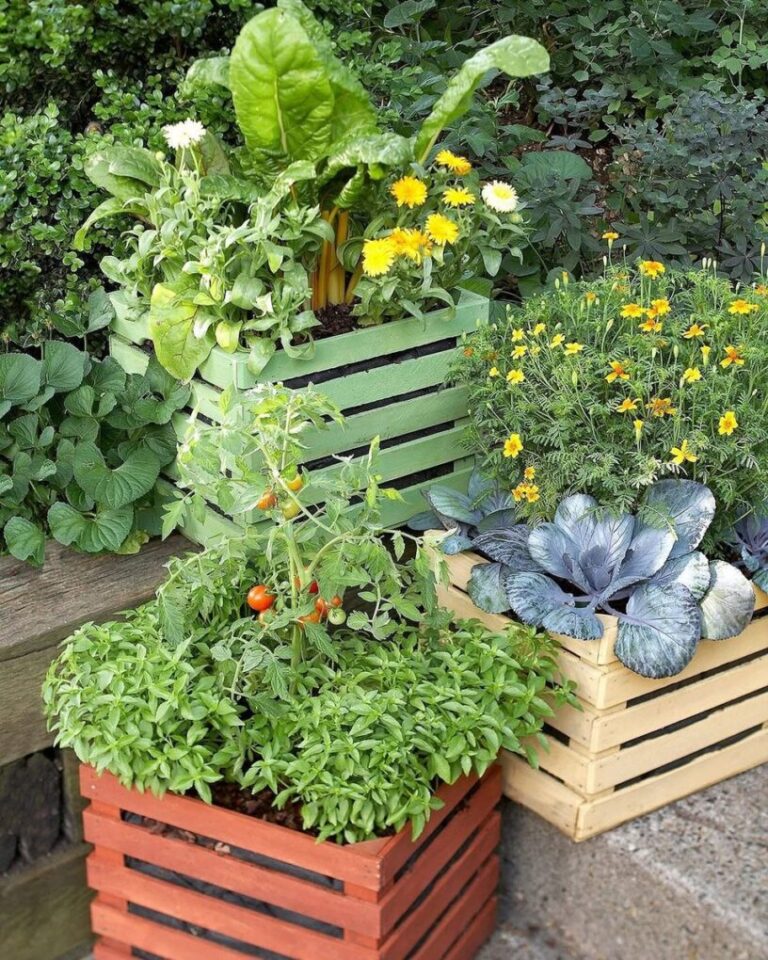 20 Herb Garden Bed Ideas for Any Space: From Simple to Stunning