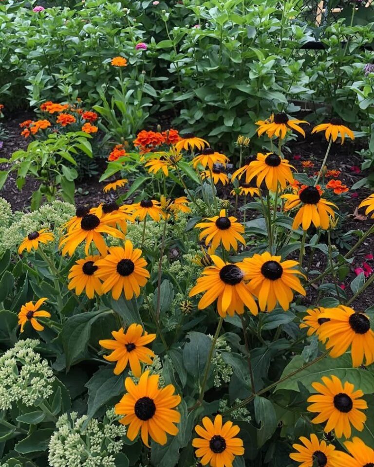 20 Autumn Flower Bed Ideas That Bring Seasonal Charm to Your Garden